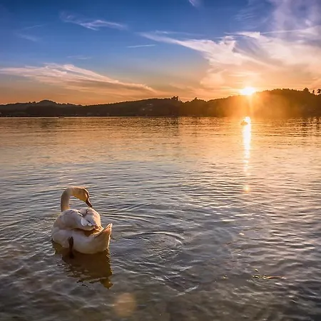 Hotel Stadler Am Attersee Hotel 4*