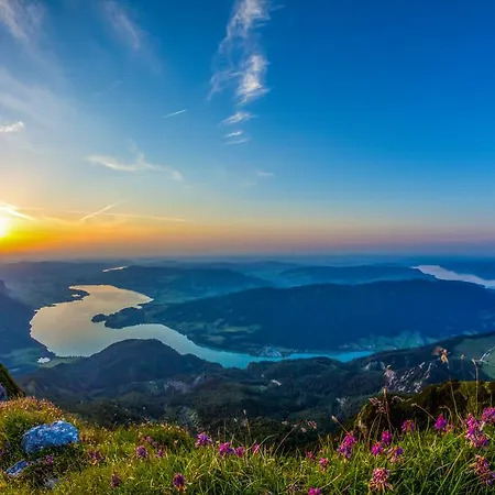 Stadler Am Attersee Hotel 4*