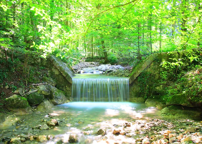 Hotel Hotel Stadler Am Attersee 4*