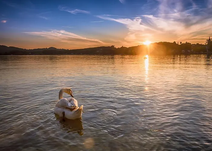 Hotel Stadler Am Attersee Hotel 4*